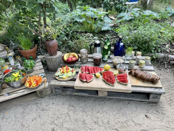 Permakultur-Kurs-Juli-Ticket – Bild 10